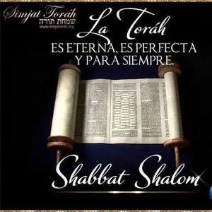 Meet your Posher, Adriel